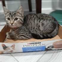 Thumbnail photo of Lucy #4