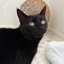 Thumbnail photo of Lilac 2024 #1