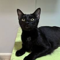 Thumbnail photo of Mama Charmy #1