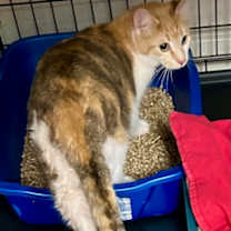 Thumbnail photo of Quinn #1