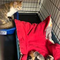 Thumbnail photo of Quinn #2