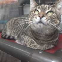 Thumbnail photo of Wanda #1