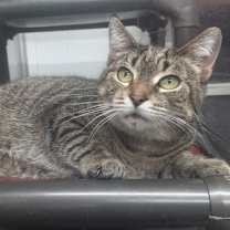 Thumbnail photo of Wanda #2