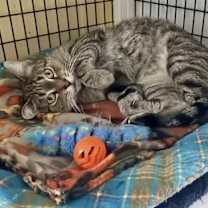 Thumbnail photo of Wanda #3