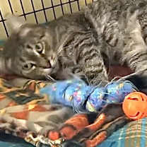 Thumbnail photo of Wanda #4