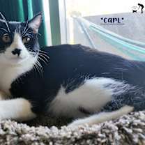 Thumbnail photo of Carl #1