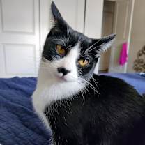 Thumbnail photo of Carl #2