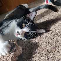 Thumbnail photo of Carl #3