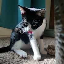 Thumbnail photo of Carl #4