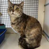 Thumbnail photo of Elena #3