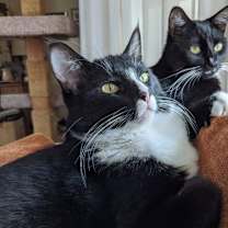 Thumbnail photo of Boots #4