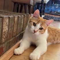 Thumbnail photo of Fred #1