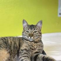 Thumbnail photo of Carrie #2