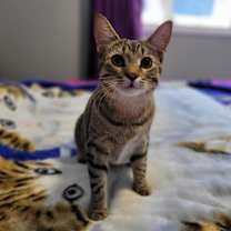 Thumbnail photo of MEGAN #1