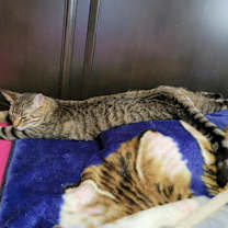 Thumbnail photo of MEGAN #2