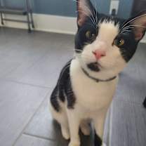 Thumbnail photo of MIEL #2