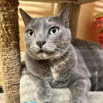 Thumbnail photo of Waleska Lovebug #2