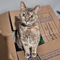 Thumbnail photo of Daisy Mae #1