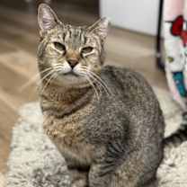 Thumbnail photo of Bundy Orchard #2