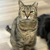 Thumbnail photo of Bundy Orchard #3