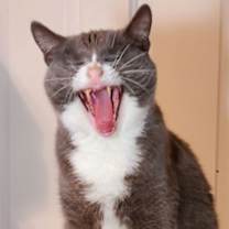 Thumbnail photo of Eleanor #4