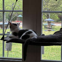 Thumbnail photo of Bree #4