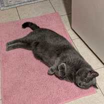 Thumbnail photo of Nimbus #4