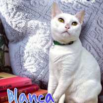 Thumbnail photo of Blanca #4