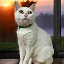 Thumbnail photo of Blanca #1