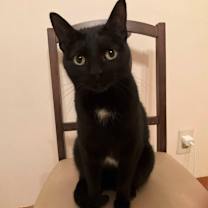 Thumbnail photo of Edy #3