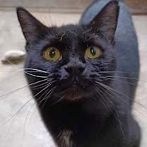 Thumbnail photo of BonBon #1