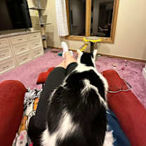 Thumbnail photo of Shawnee #4