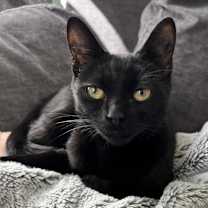 Thumbnail photo of Mirabel #1