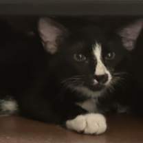 Thumbnail photo of M&M #4