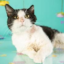 Thumbnail photo of Harry Potter #2