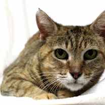 Thumbnail photo of Marmie #2