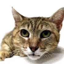 Thumbnail photo of Marmie #3