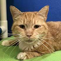 Thumbnail photo of Beth #4