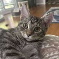 Thumbnail photo of Moe #1