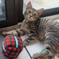 Thumbnail photo of Moe #3