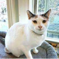 Thumbnail photo of Tatum #3