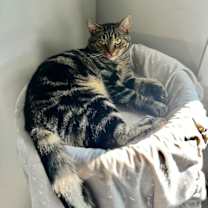 Thumbnail photo of Ursula #1