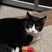 Thumbnail photo of Jasmine #1