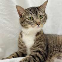 Thumbnail photo of Heather #3