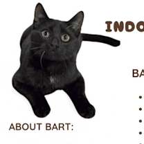 Thumbnail photo of Bart #3