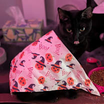 Thumbnail photo of Tamber25F #1