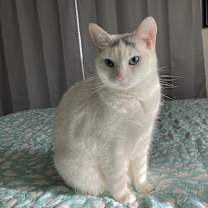 Thumbnail photo of Marilyn #3