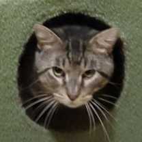 Thumbnail photo of Hank #3