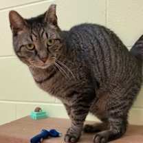Thumbnail photo of Jasper #1