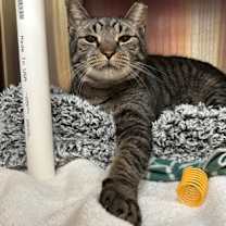 Thumbnail photo of Jasper #2